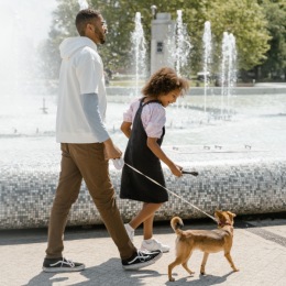 a family walking their dog near a large water fountain