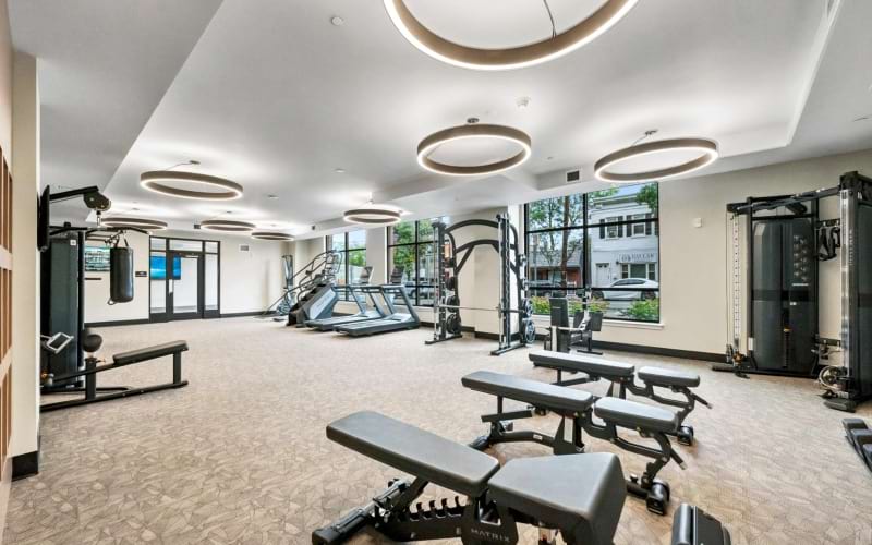 Gym with benches and various workout machines